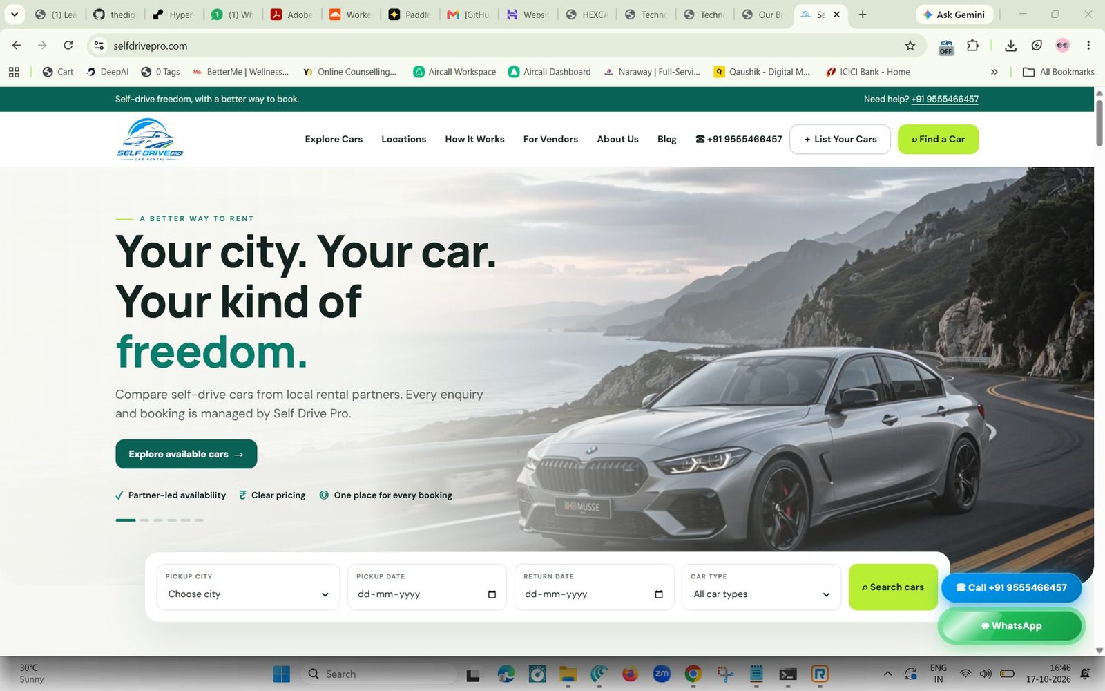 Self Drive PRO website homepage screenshot
